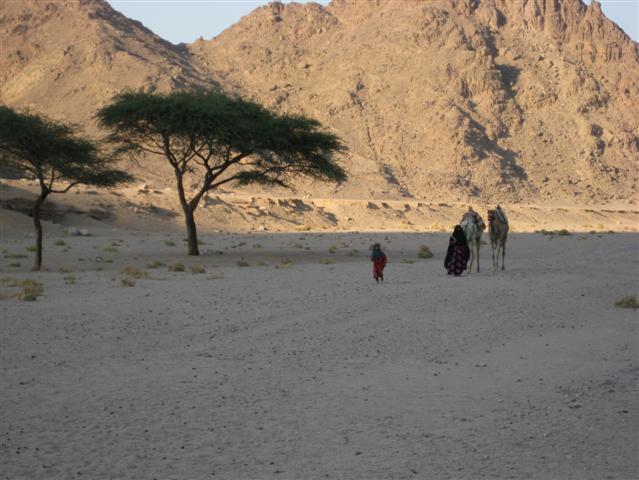 Jeepsafari Spezial von Hurghada